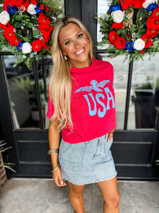 USA Vintage Eagle Tee