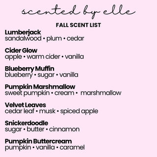 Holiday Car Diffusers | Scented by Elle